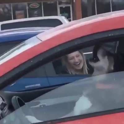 Can&rsquo;t get mad at the dog