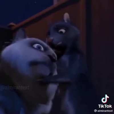 Xd