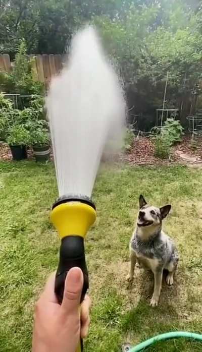 звук