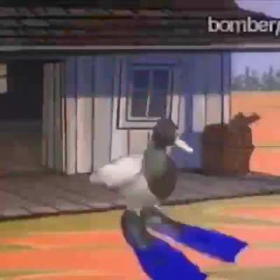 duck