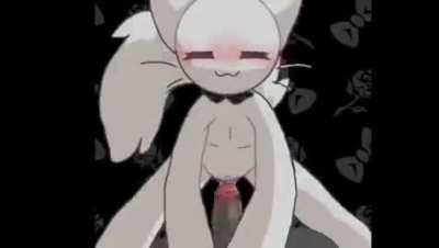 Catgod 