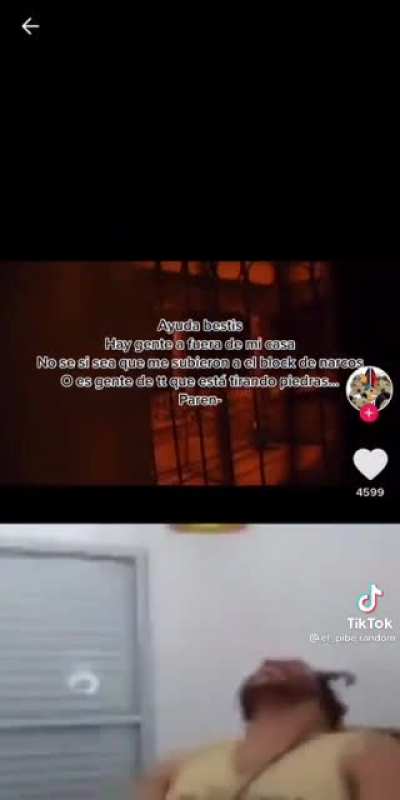 XD