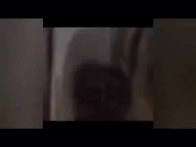 (Not) me falling down the stairs.