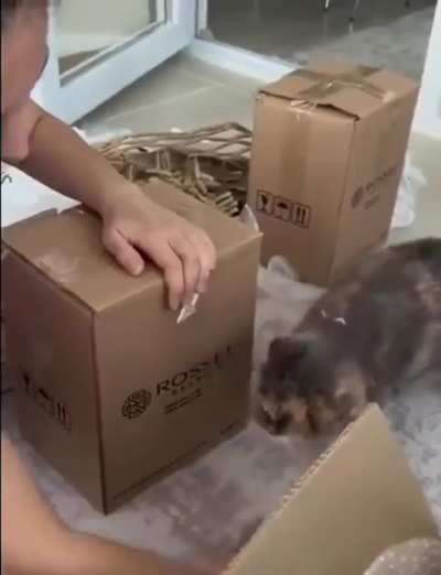 Maybe maybe maybe