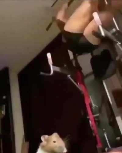 < 3
