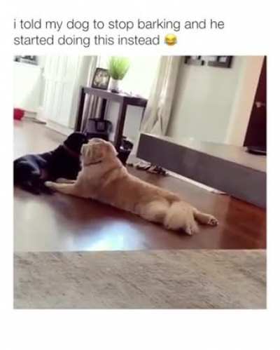 must not bark but must make noise