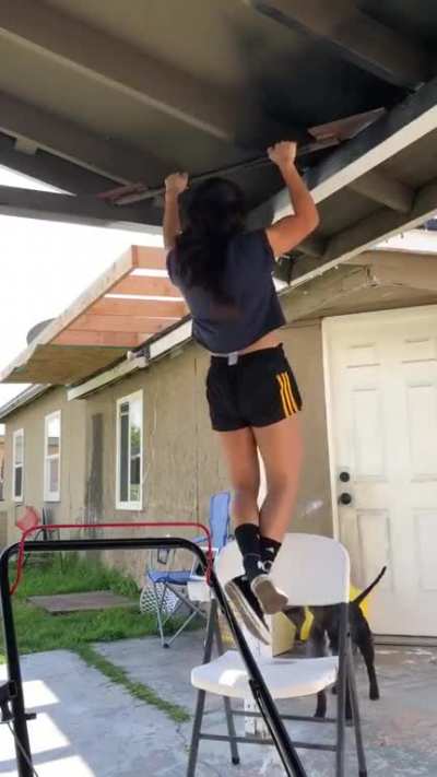Dog puts the chair back under human&rsquo;s feet who&rsquo;s doing pull-ups.