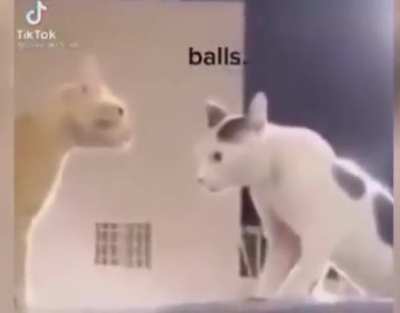 He’s Coming