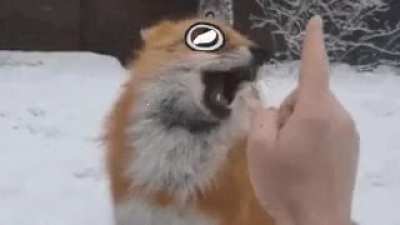 cute_irl