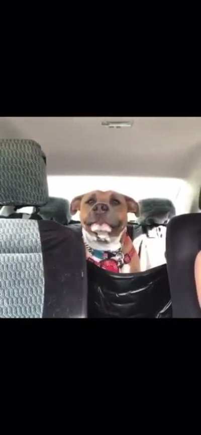 How dare he ride up that close to me?!
