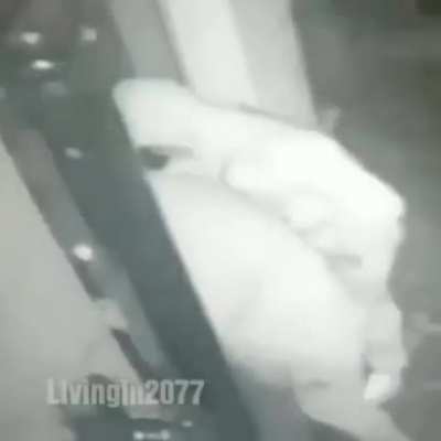 lil uzi n&oacute;ia