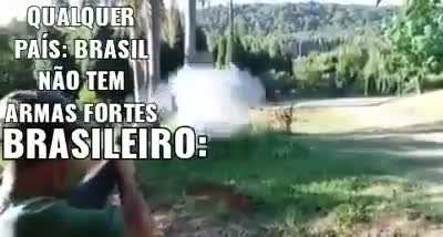 video original