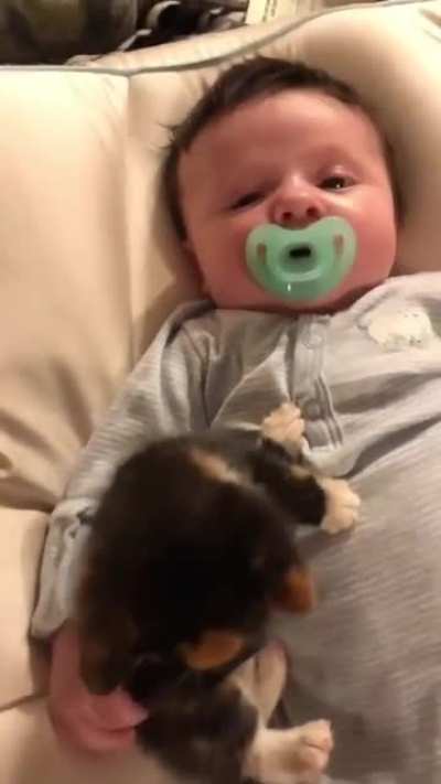 Baby and baby