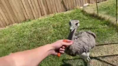 Fucking Kevin