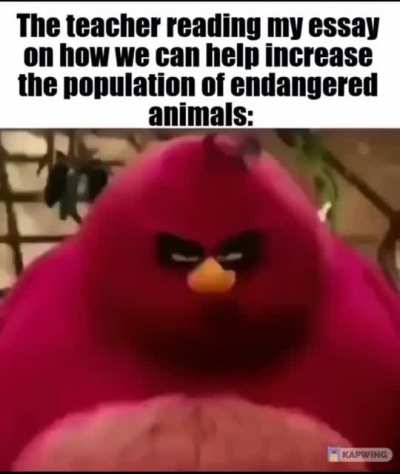 Nuts