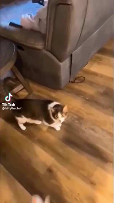 Despair