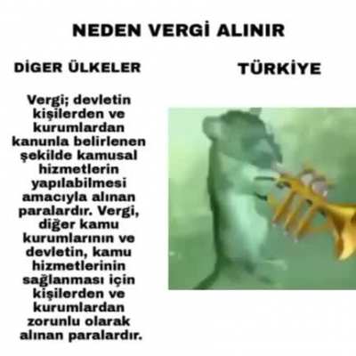 Madem türksün vergi ver ürksün