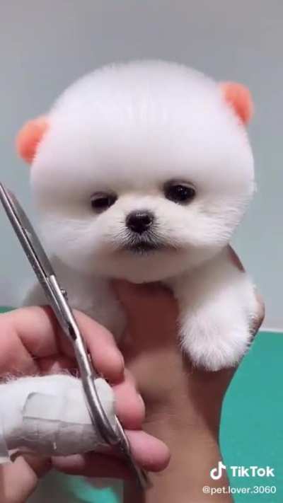 Do you think I'm cute?