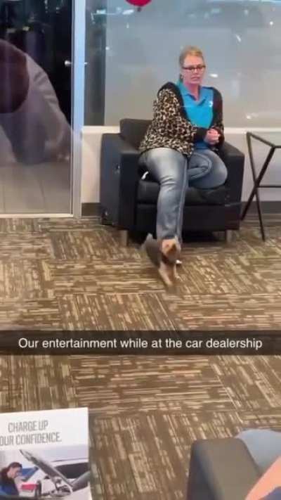 Like a pro!