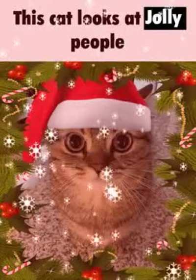 Ooooh how jolly