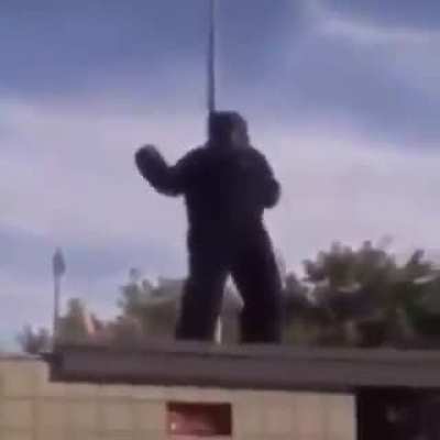 Gorilla Wrestling