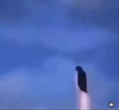 Imagine thinking penguins can&rsquo;t fly