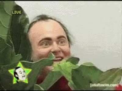 Citadel interns letting the price go up so they can watch banana in the keister guy: