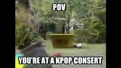 Korean poop