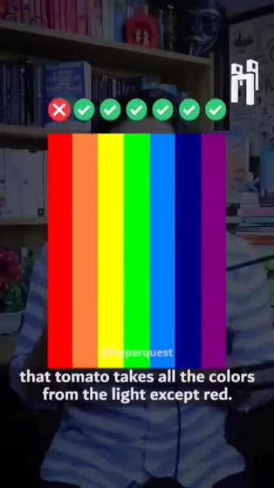 Guys Abse No Racism