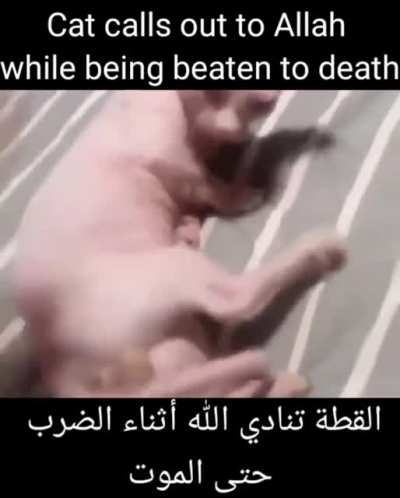 Al