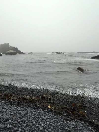 Here&rsquo;s some foggy Yaquina tide pool vibes for anyone that needs a break from the heat and smoke 🌊