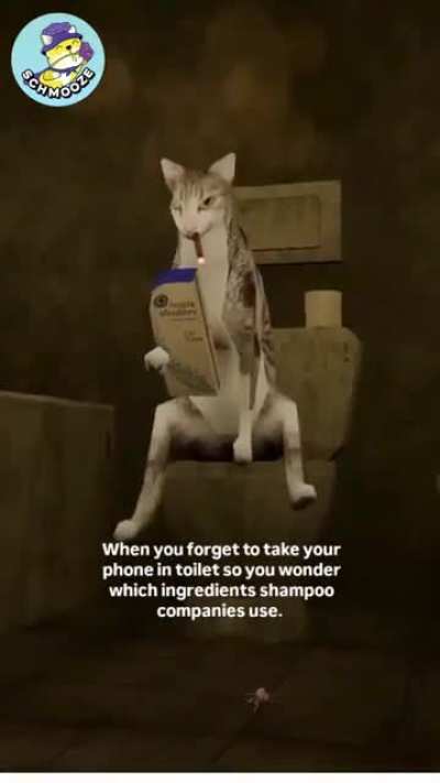 shampoo-p