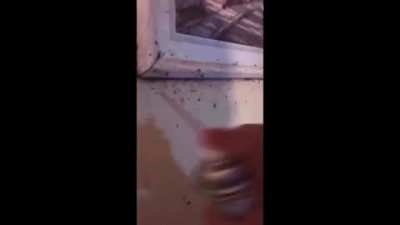 Just burn the house down!