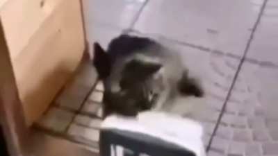 Fucken amgry at this shit. (⚠️ Ear rape warning)