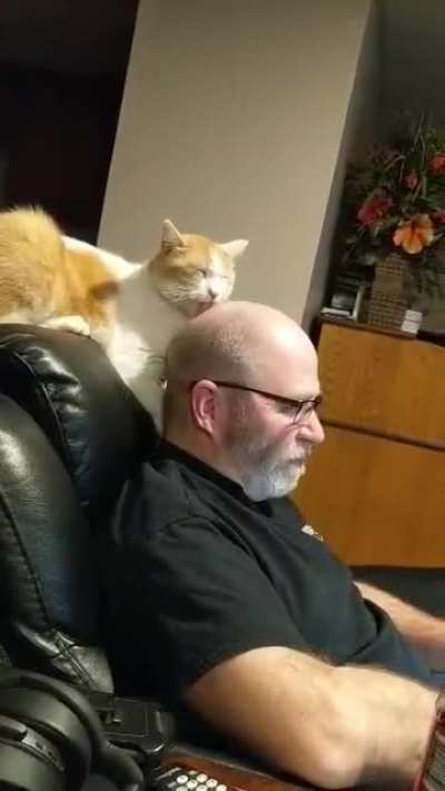 Sisters cat moved in with my uncle &amp;amp; aunt...