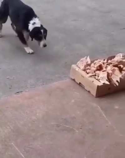 Food......?