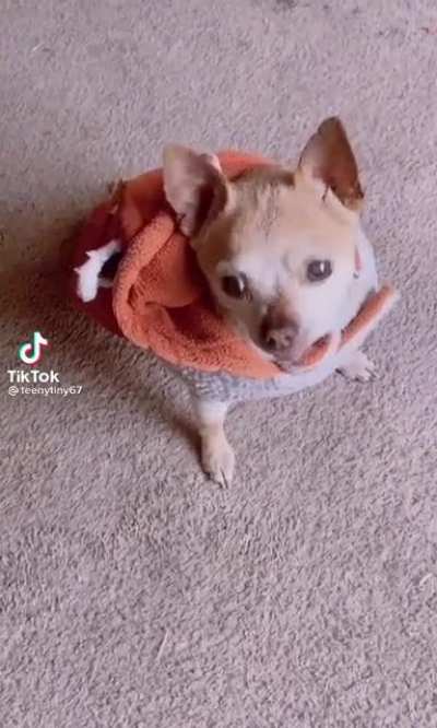 Tiny is past his expiration date