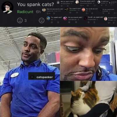 You spank cats?