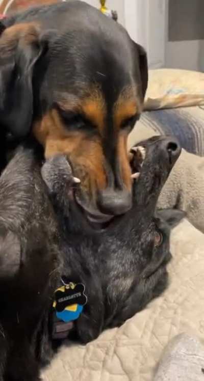 Don&rsquo;t mind me