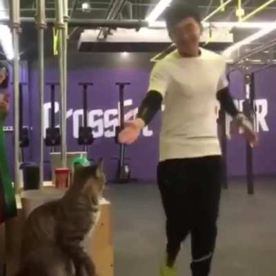 Gym bro