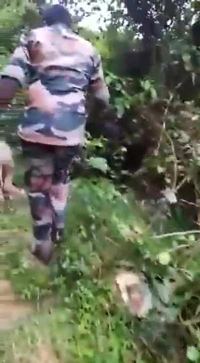 Tamil Nadu(India) Foresters rescued &amp;amp; united a baby elephant with the herd in Mudumalai. The baby elephant faithfully walks behind the foresters.. 
