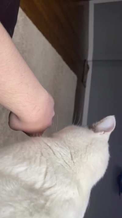 My knee hurts