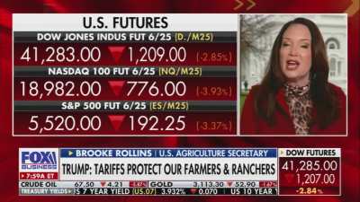 Agriculture Secretary Brooke Rollins next to a ticker showing the Dow down 1,200 points: 