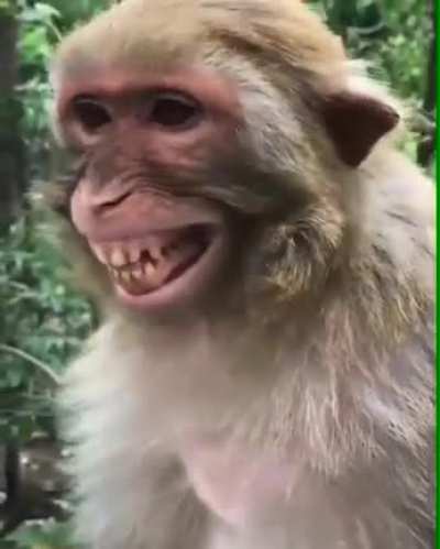 Monker