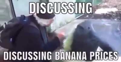 monke
