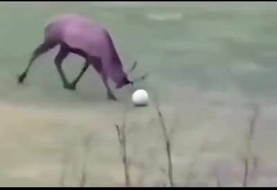 "Si amor, anda a jugar con tus amigos que yo te espero en casa"