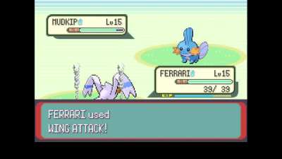 Is my emerald nuzlocke run over?