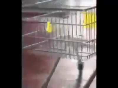 Cart Moment
