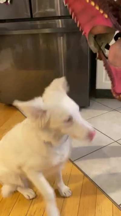 The Face Chomper