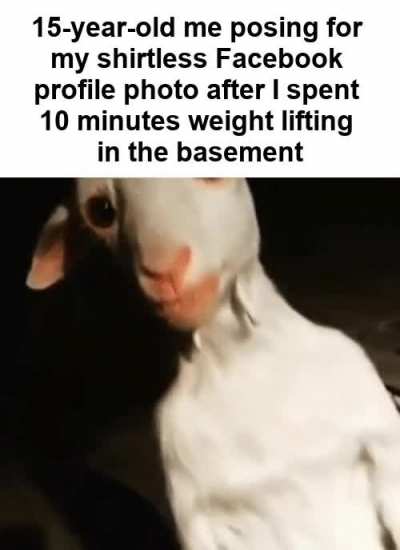 Lmao this is true
